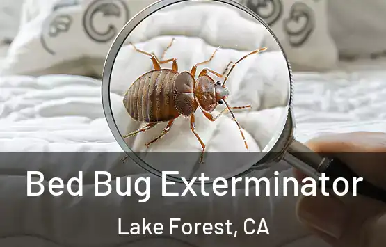  Bed Bug Exterminator Lake Forest, CA