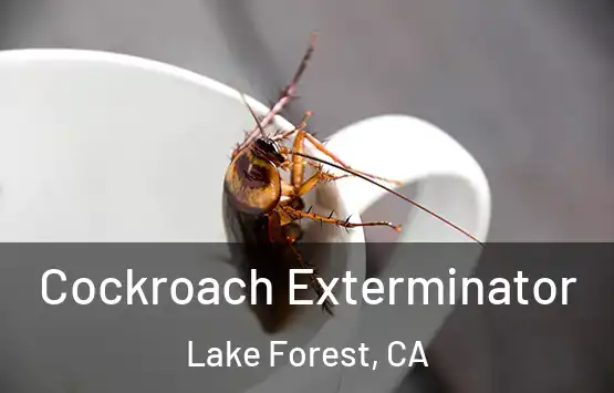  Cockroach Exterminator Lake Forest, CA