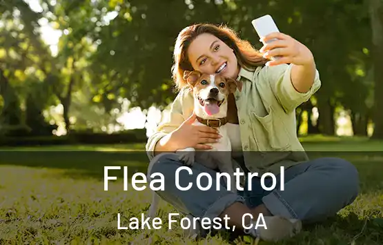  Flea Control Lake Forest, CA