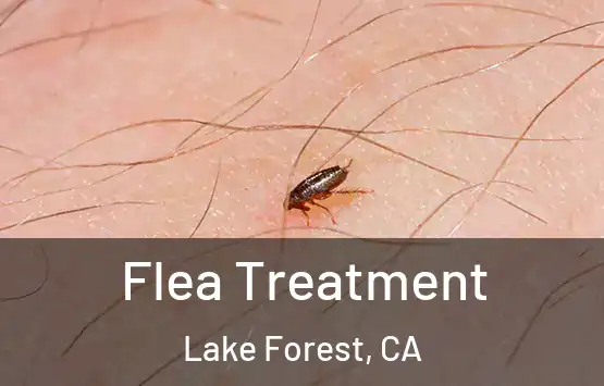 Flea Treatment Lake Forest, CA