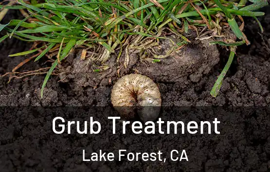  Grub Treatment Lake Forest, CA