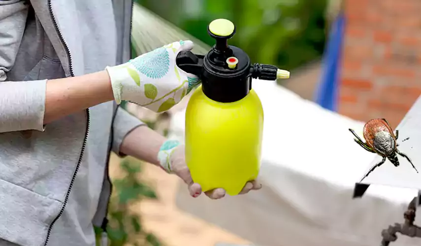 Ticks Pest Control Lake Forest, California