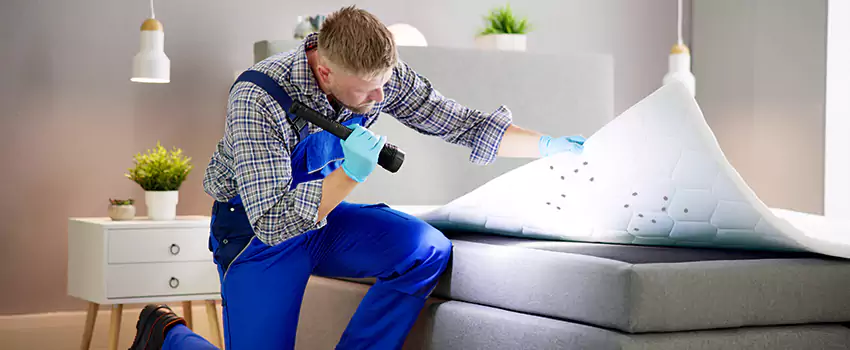 bed-bug-treatment in Lake Forest, CA