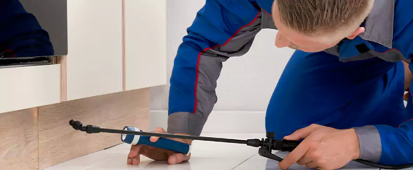 Ant Control for Bedrooms in Lake Forest, CA