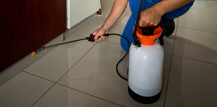 Commercial Pest Extermination for Offices in Lake Forest, CA