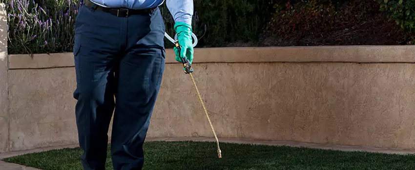Emergency Pest Extermination for Children and Pets Lake Forest, CA