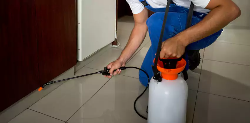 Commercial Flea Exterminator Company in Lake Forest, CA