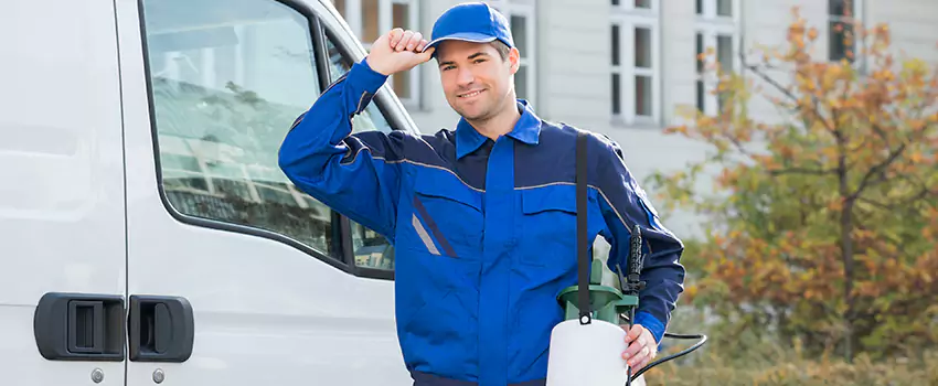 Organic and Chemical Spider Control Options Lake Forest, CA