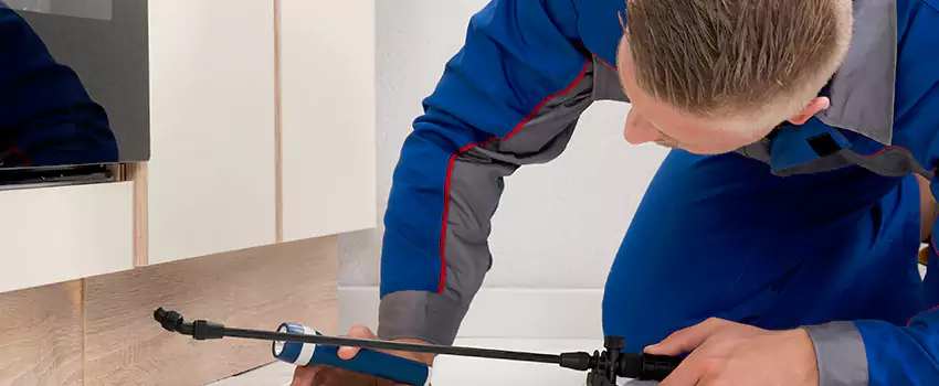 Termite Control for Children and Pets in Lake Forest, CA