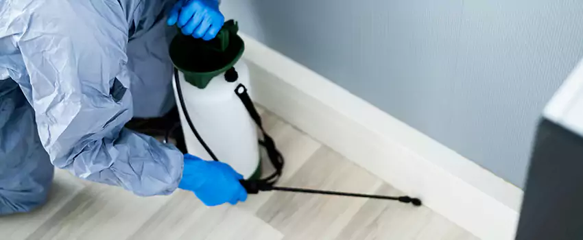 cockroach-exterminator in Lake Forest, CA