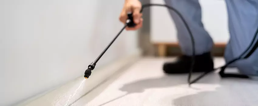 pest-exterminator in Lake Forest, CA