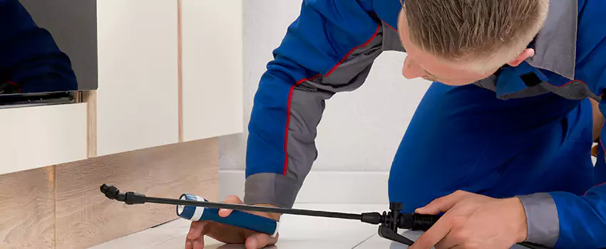 Pest Exterminator Company in Lake Forest, CA