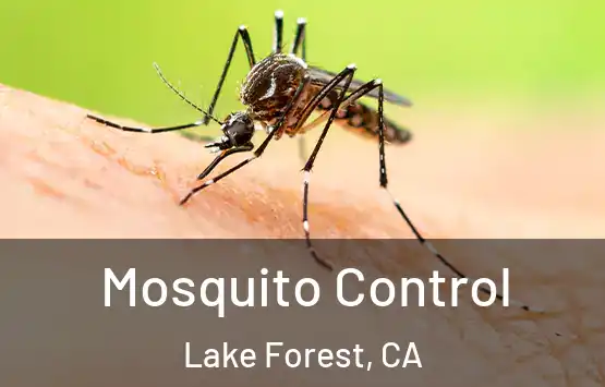  Mosquito Control Lake Forest, CA