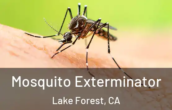  Mosquito Exterminator Lake Forest, CA