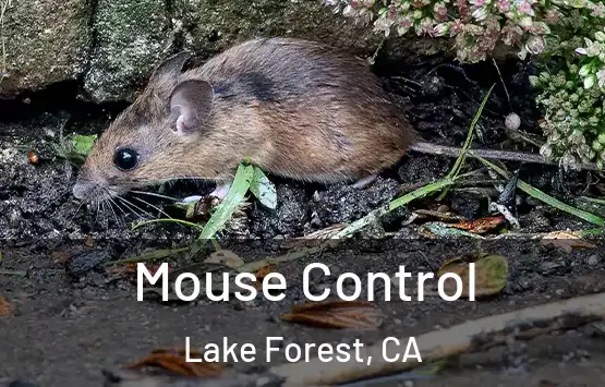  Mouse Control Lake Forest, CA