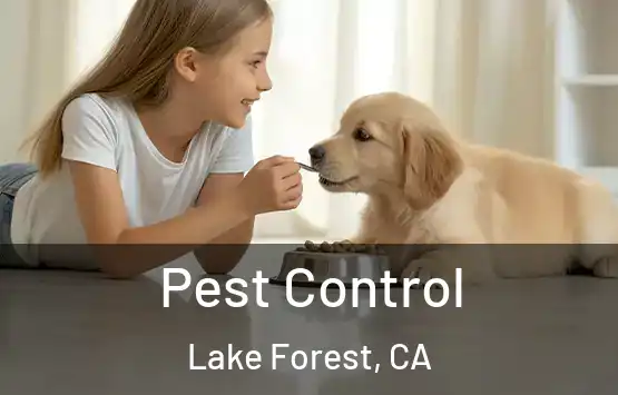 Pest Control Lake Forest, CA