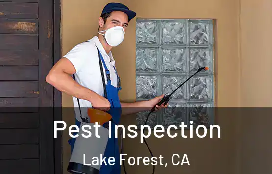  Pest Inspection Lake Forest, CA