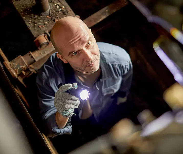 About Pest Inspection Lake Forest