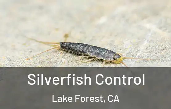  Silverfish Control Lake Forest, CA