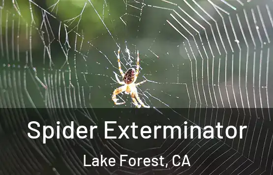 Spider Exterminator Lake Forest, CA