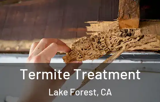  Termite Treatment Lake Forest, CA