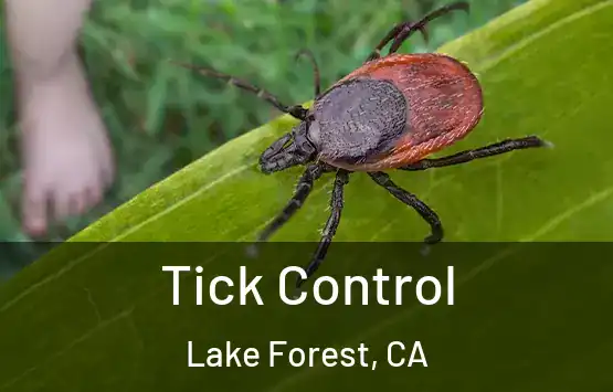  Tick Control Lake Forest, CA