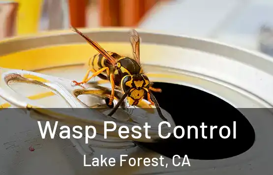  Wasp Pest Control Lake Forest, CA
